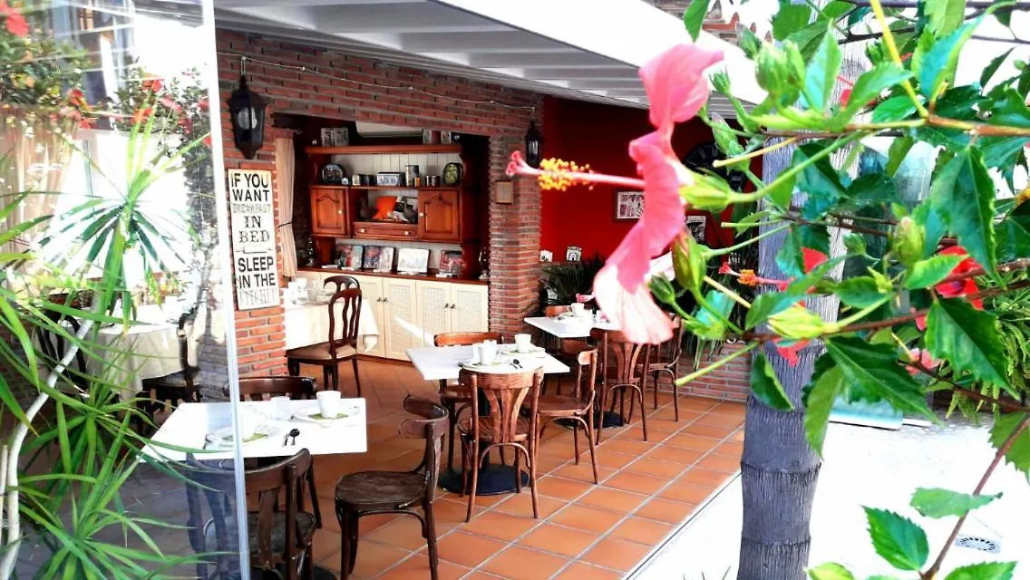 Welcome Inn Nerja Guest House Luxury Bed & Breakfast Spain